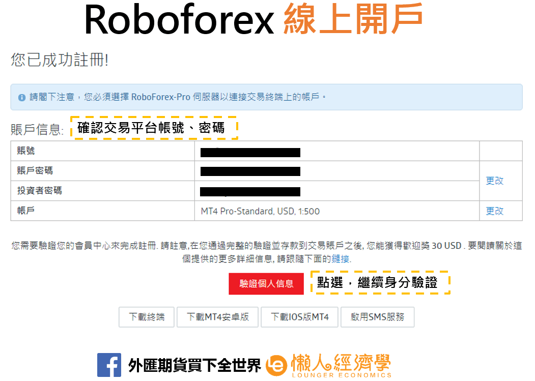 Roboforex線上開戶4